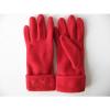 Hot Sale Winter Polar Fleece Gloves For Ladies Product on Alibaba
